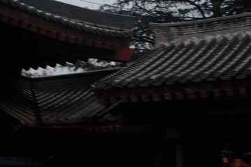 288691