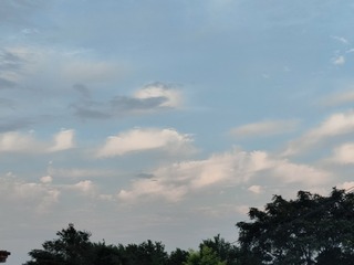 1000087712