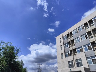 1000051263