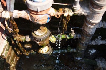 SX198444.jpg