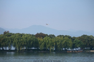 SX249648.jpg