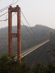 2867353