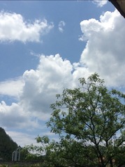 CB729869-5735-4F1F-9FAC-64BF5CD9A991/L0/001