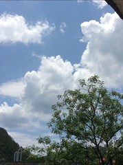 8C2CA246-3AF6-40AC-80A4-FA7BA29E7816/L0/001