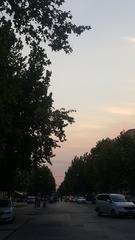2458477
