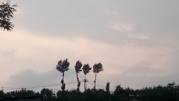 1409547