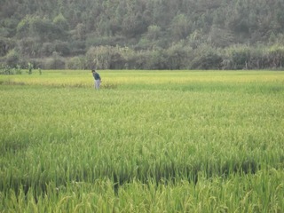 DSCF0589.JPG