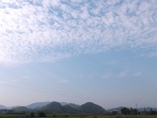 DSCF0729.JPG