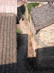 DSCF0731.JPG