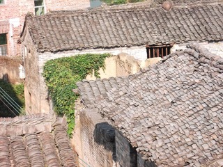 DSCF0732.JPG