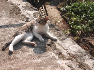 DSCF0743.JPG