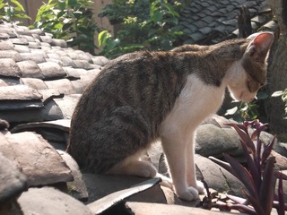 DSCF0748.JPG