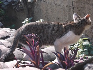 DSCF0750.JPG