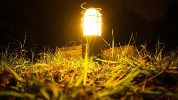IMG_0450.jpg