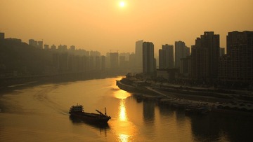 IMG_0890.jpg