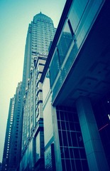 IMG_0930.jpg