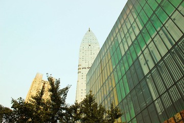IMG_0880.jpg
