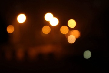 IMG_1098.jpg