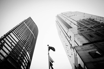 IMG_1362.jpg