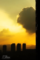 IMG_2166-1