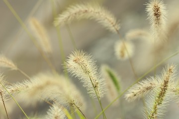 73BB2FEF-A093-4592-BA17-2D88FB609CC6/L0/001