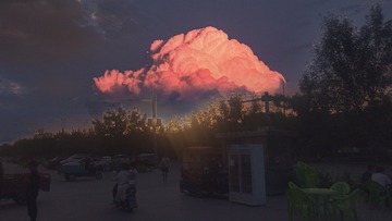 291145