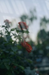 76229A2F-B0BC-4679-B75F-FCE59B43B73E/L0/001