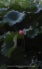 F73A7096-07EB-4794-9C4D-01F9F020A8D9/L0/001