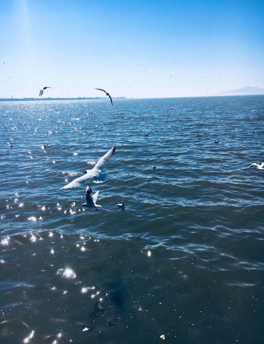 蓝鸢青橙 - 图虫网 - 优质摄影师交流社区