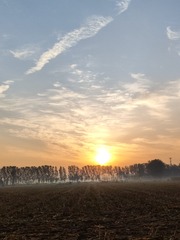 1000014174