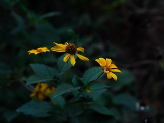 E6067ED7-C226-4214-BE8F-753B2B80CD17/L0/001