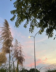 9EE861A2-7C38-4D30-A6ED-1B541953245F/L0/001