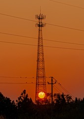 1000116119