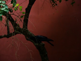 8B6B6DD1-3651-42B1-A73F-6F74E029AD6B/L0/001