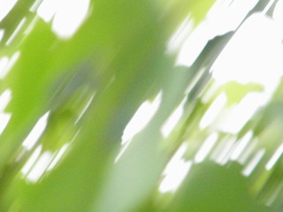 007E9381-CD93-41E6-95B6-95A32FB419A3/L0/001