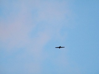 CD33BAAE-A01F-45EC-A354-FA29CA97D9D2/L0/001
