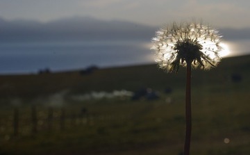 20130712-IMGP9722.jpg