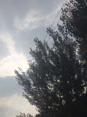 3525893
