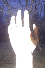 1000503299