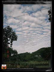 D507A6B9-7822-48D8-AD8A-D308FA790453/L0/001