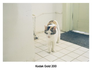 1000102544