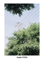 1000100800