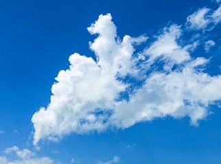 171569