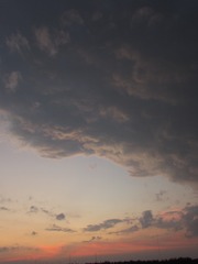 1000051125