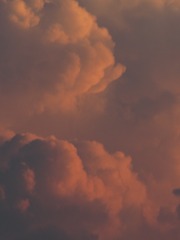 1000051148