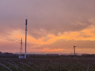 1000035948