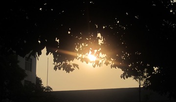 2309520