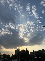 B8B28856-6ED1-4D52-ABC5-42F3C3153F55/L0/001