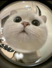 88387