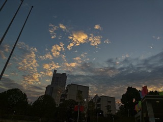 1000021567